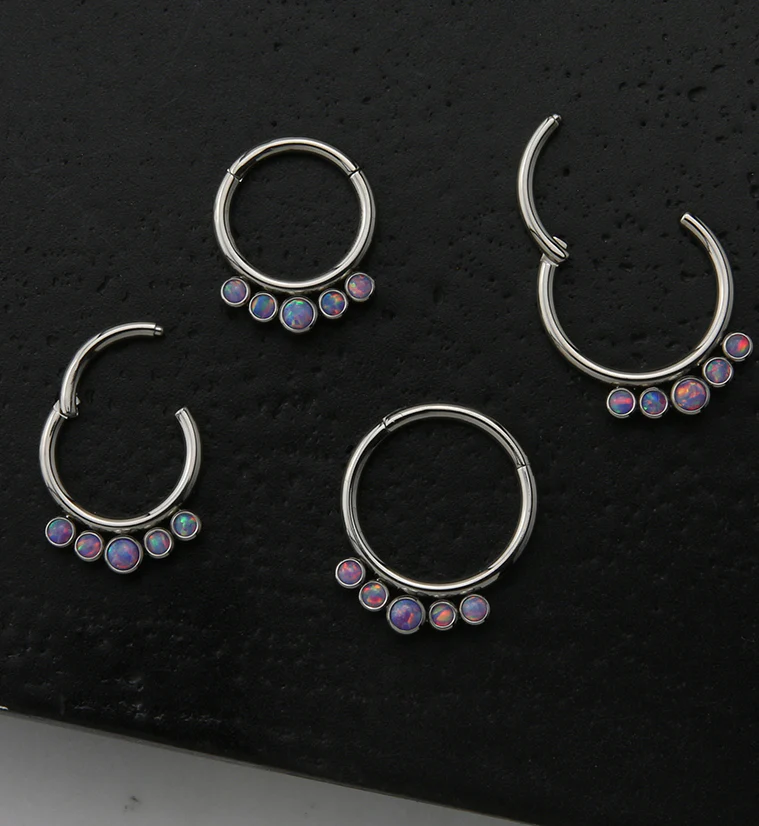 16G Cinque Purple Opalite Titanium Hinged Segment Ring - Image 2