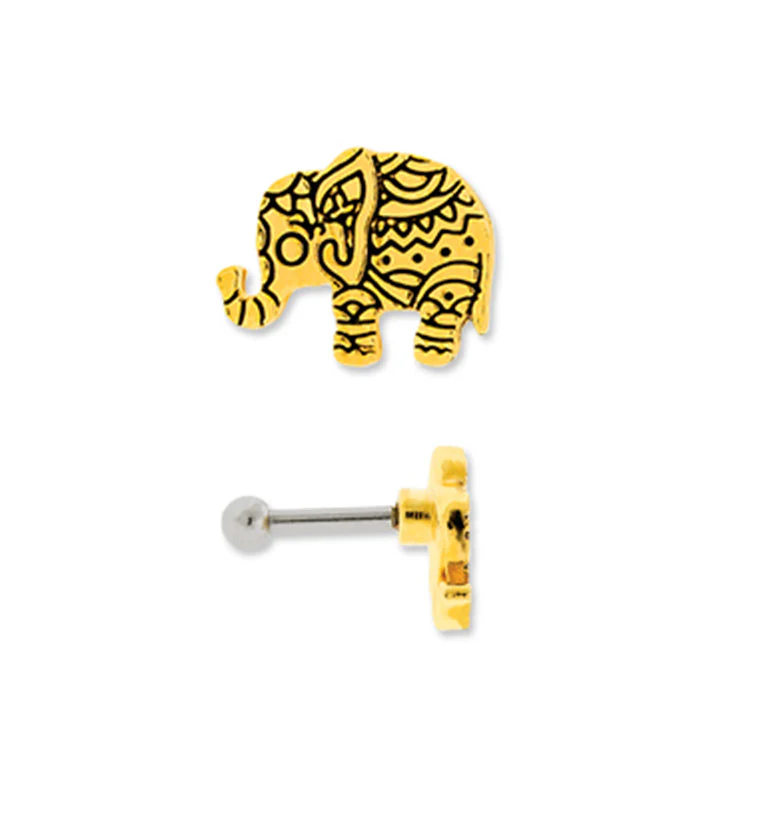16G Gold PVD Bindi Elephant Tragus - Cartilage Barbell