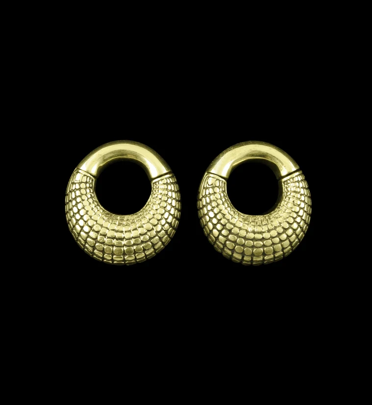 Atom Ring Hinged Ear Weights