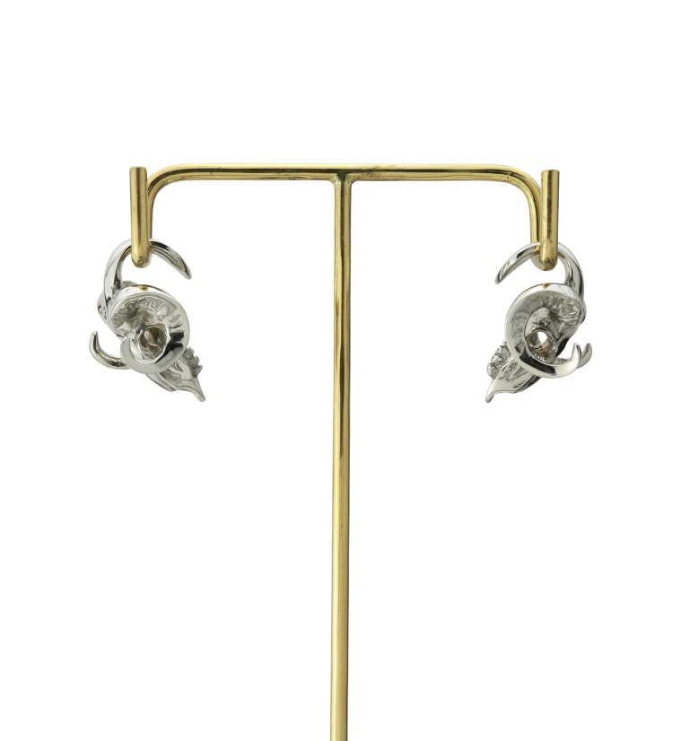 Bighorn White Brass Ear Weights - Image 4