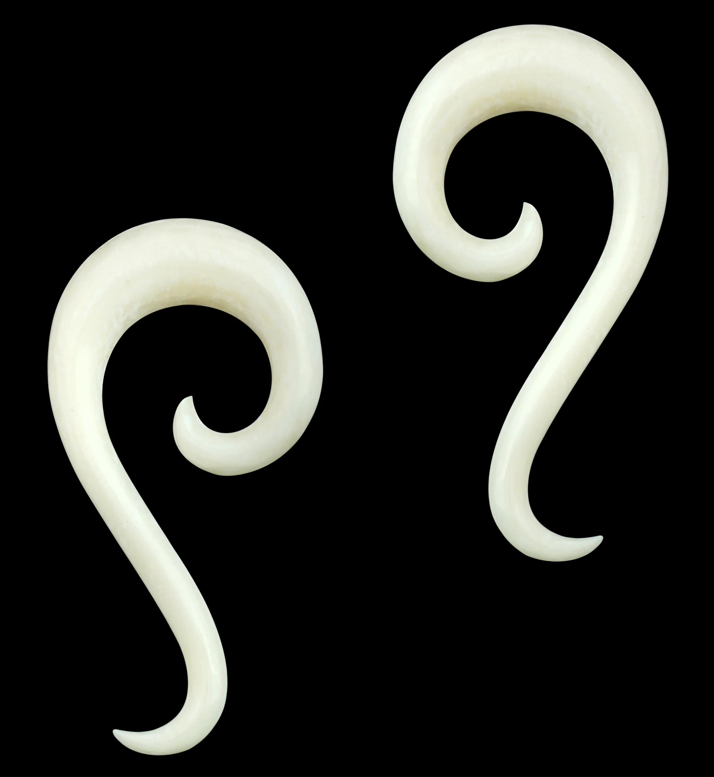 Bone Tail Spirals