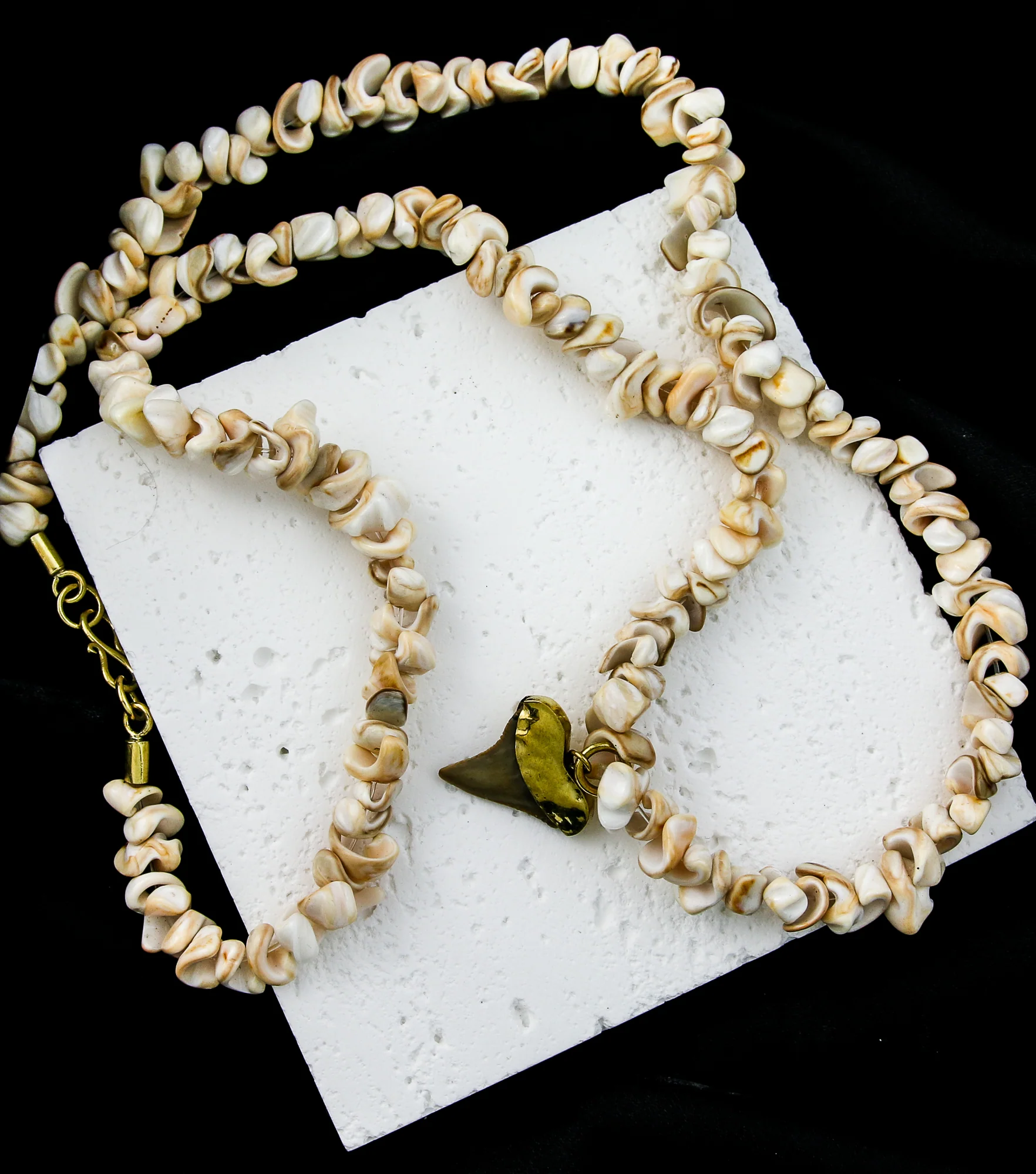 Brass Fossilized Shark Tooth Seashell Necklace - Image 2