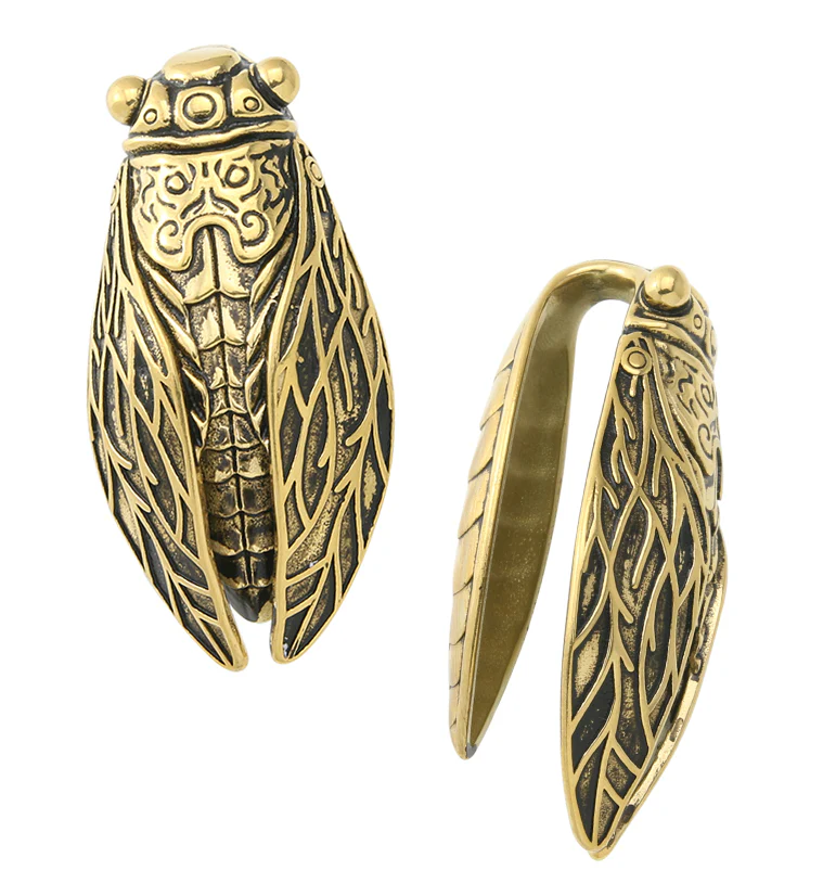 Cicada Gold PVD Stainless Steel Ear Weights - Image 3