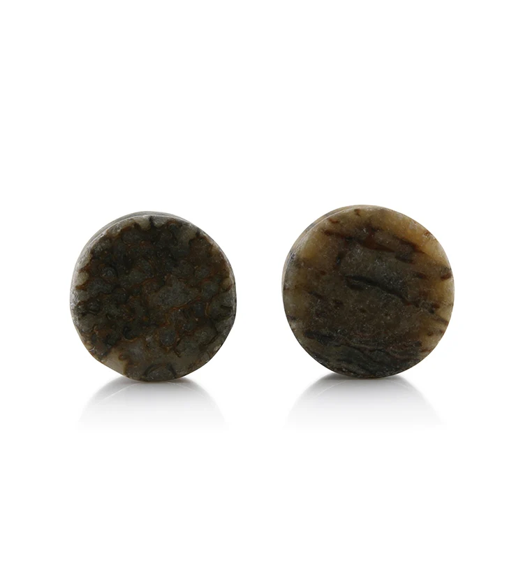 Fossilized Dinosaur Bone Plugs 9/16" (14mm) (Imperfect) Version 7