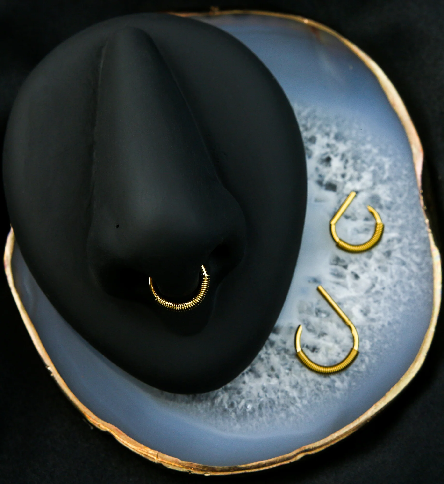 Gold PVD Coil D-Shaped Stainless Steel Hinged Segment Ring - Image 2