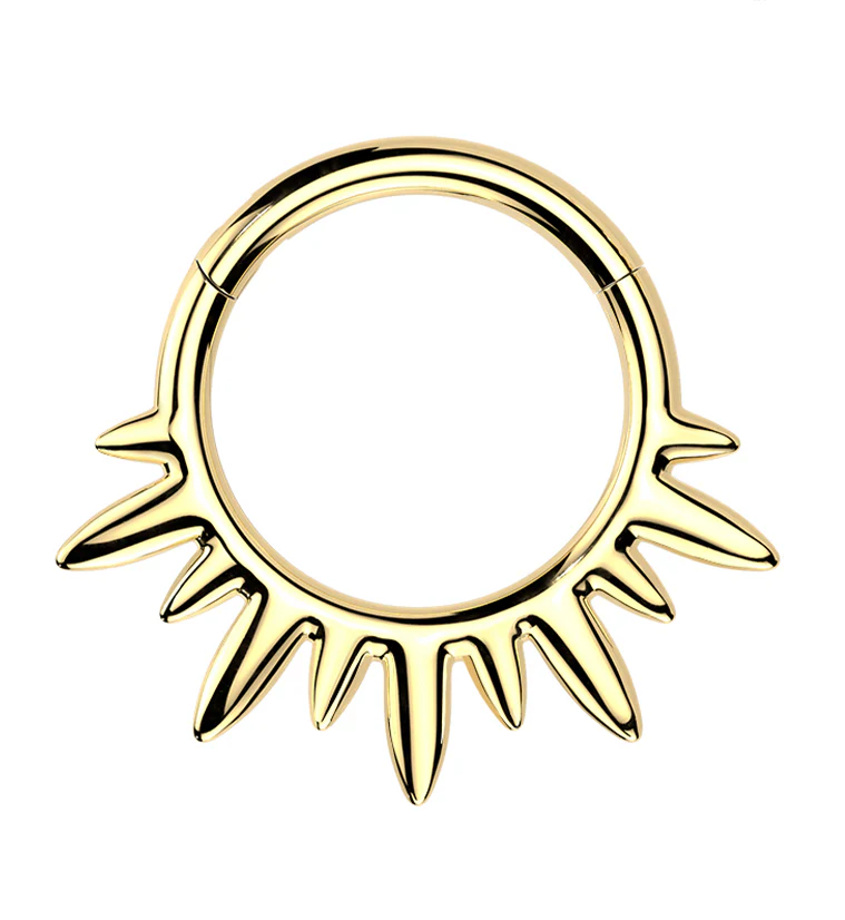 Gold PVD Magnetic Flux Titanium Hinged Segment Ring