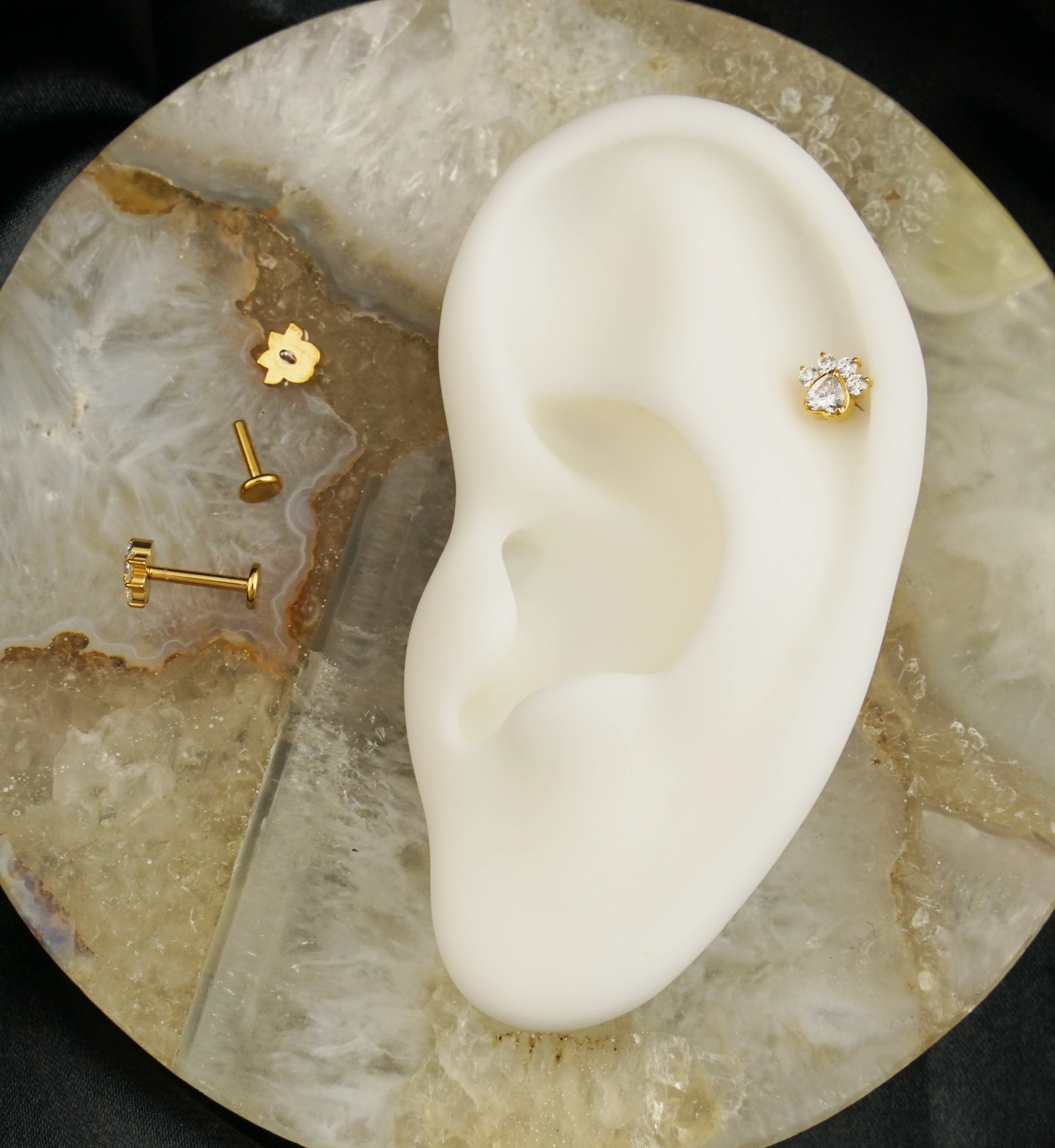 Gold PVD Paw Print Love Clear CZ Internally Threaded Titanium Labret - Image 2