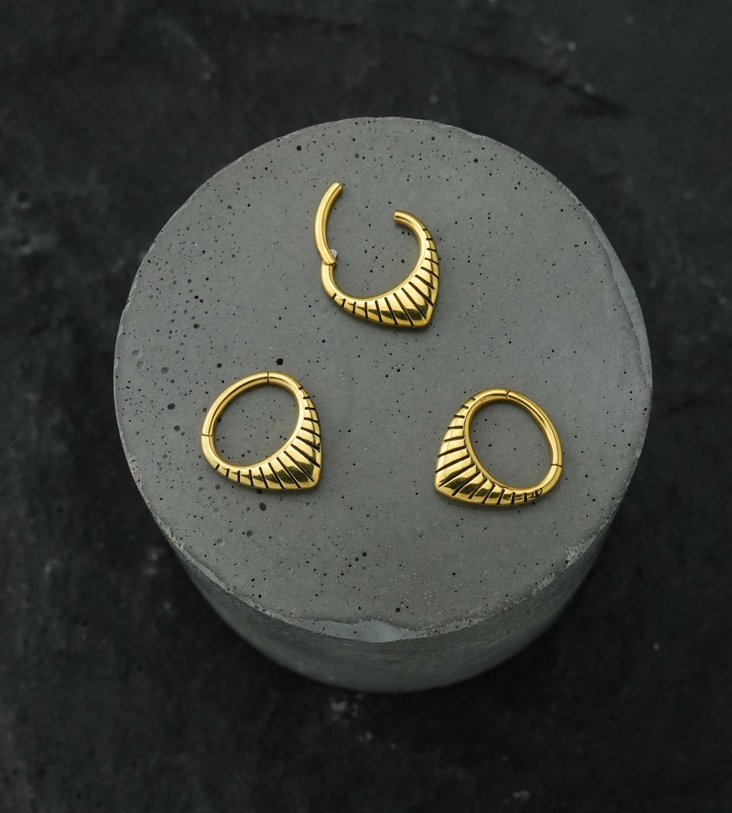 Gold PVD Point Ridge Stainless Steel Hinged Segment Ring - Image 2