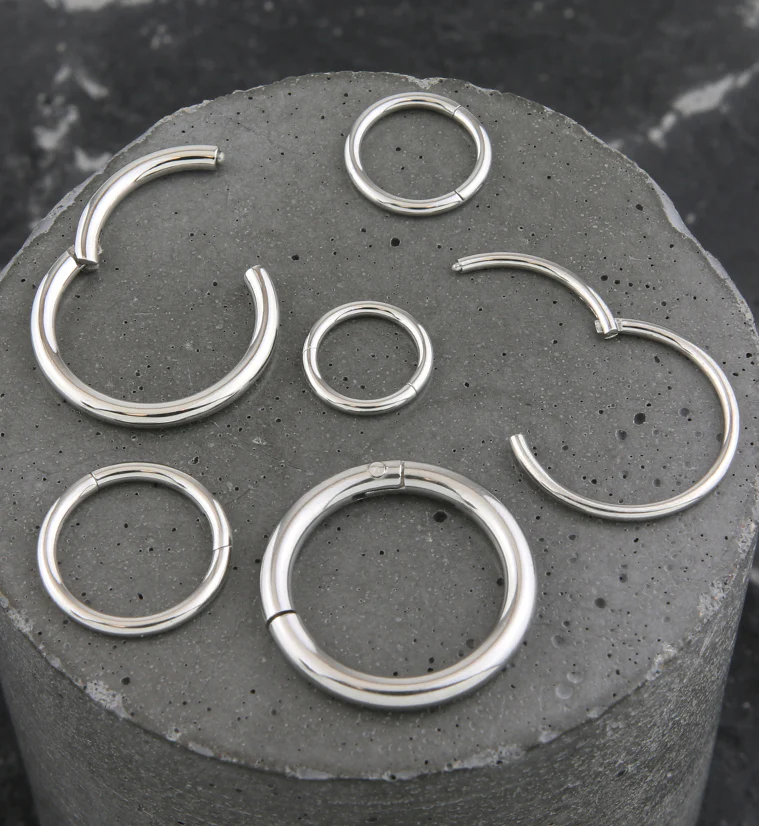 Hinged Stainless Steel Segment Hoop Ring - Image 4