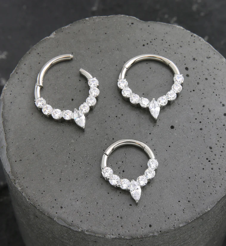 Icicle Clear CZ Titanium Hinged Segment Ring - Image 2