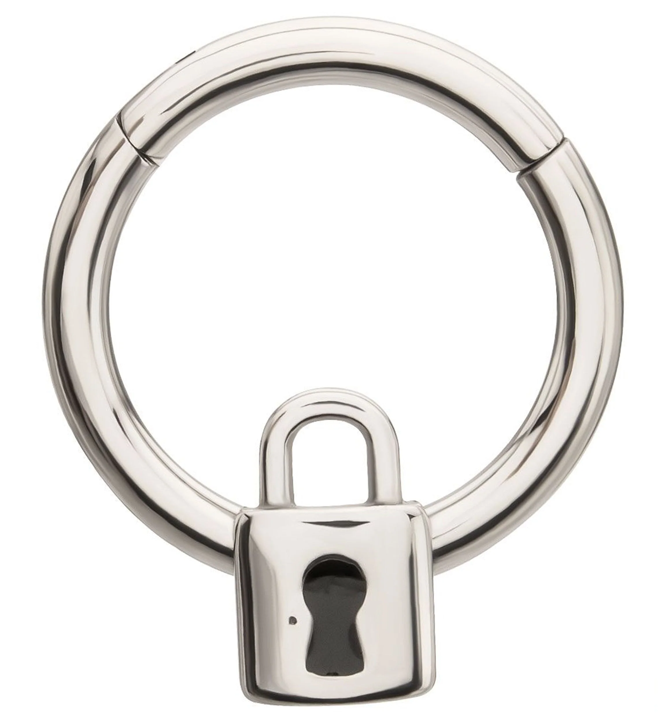 Lock Stainless Steel Hinged Segment Ring