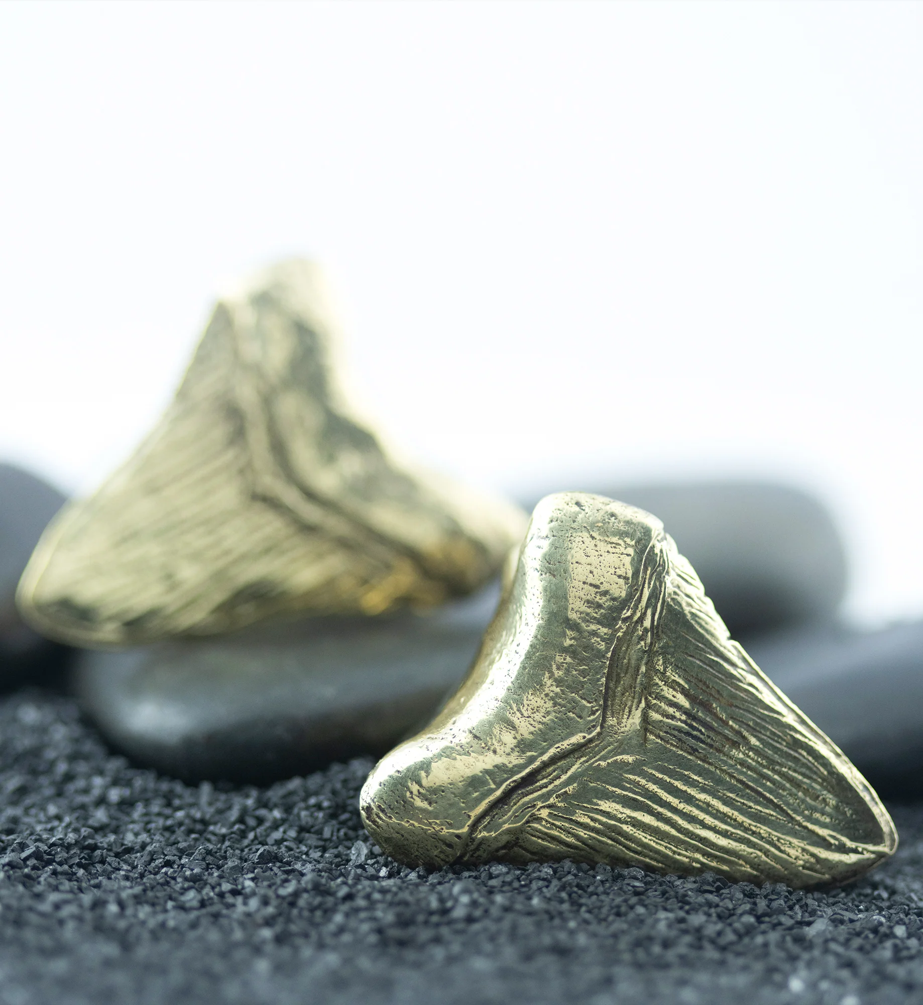 Megalodon Brass Ear Weights - Image 10