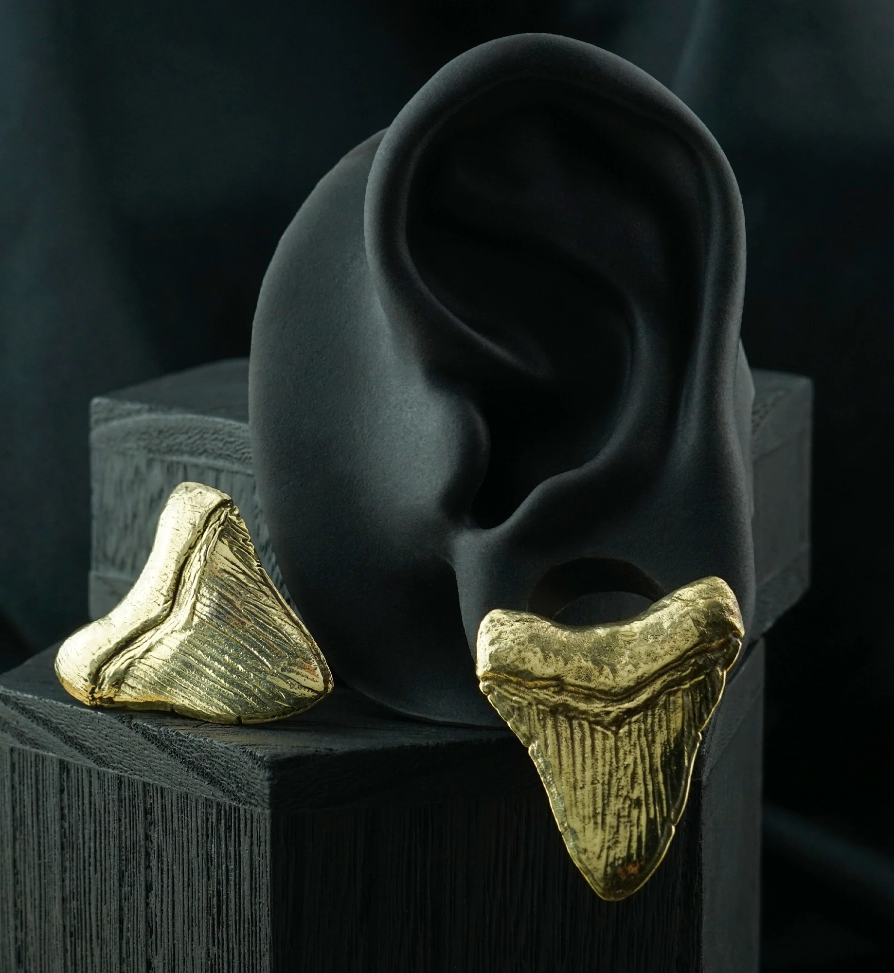 Megalodon Brass Ear Weights - Image 11