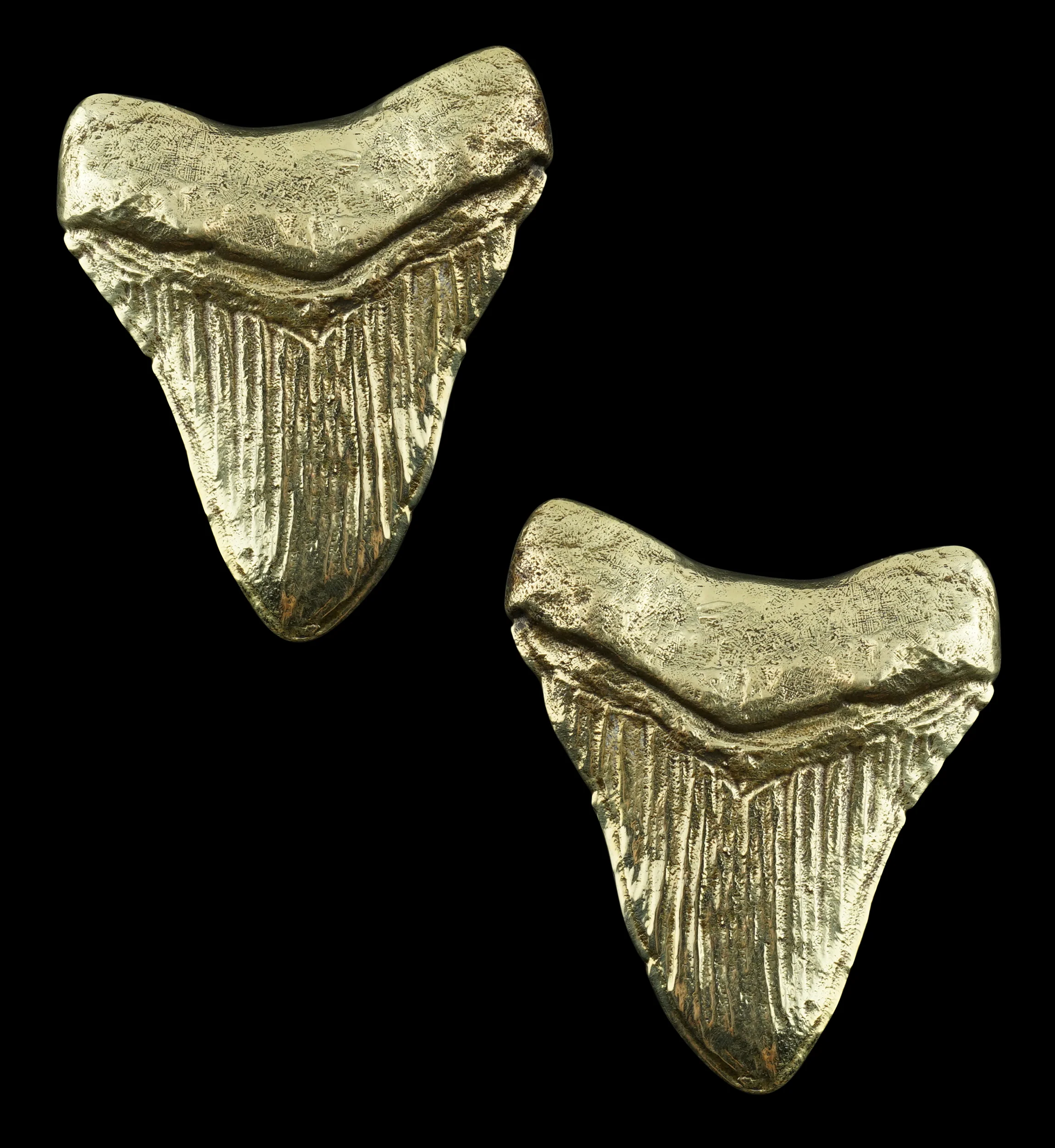 Megalodon Brass Ear Weights - Image 12