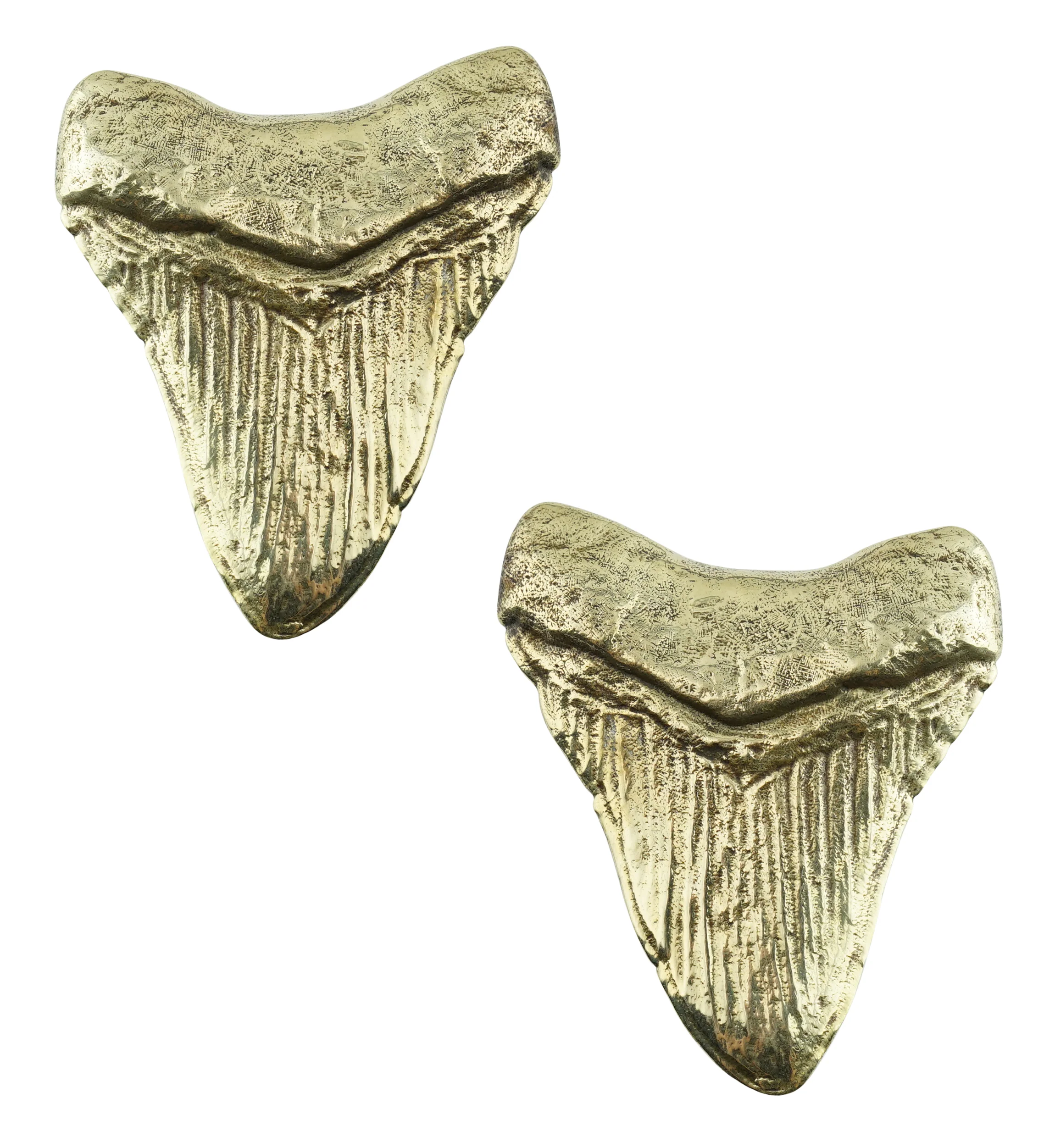 Megalodon Brass Ear Weights - Image 4