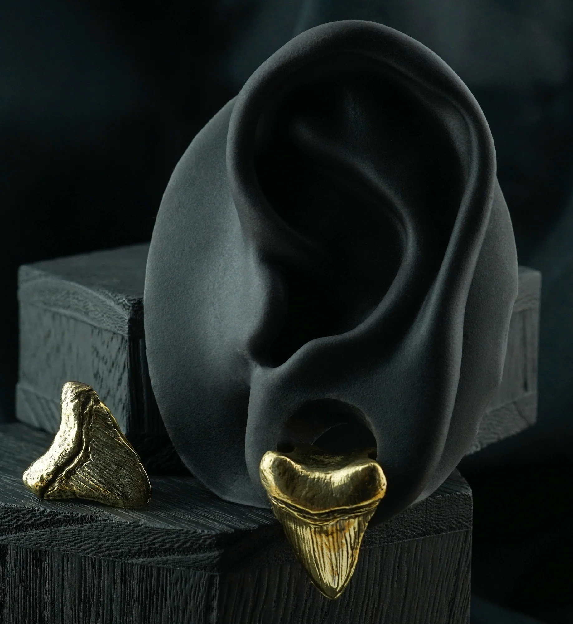 Megalodon Brass Ear Weights - Image 6