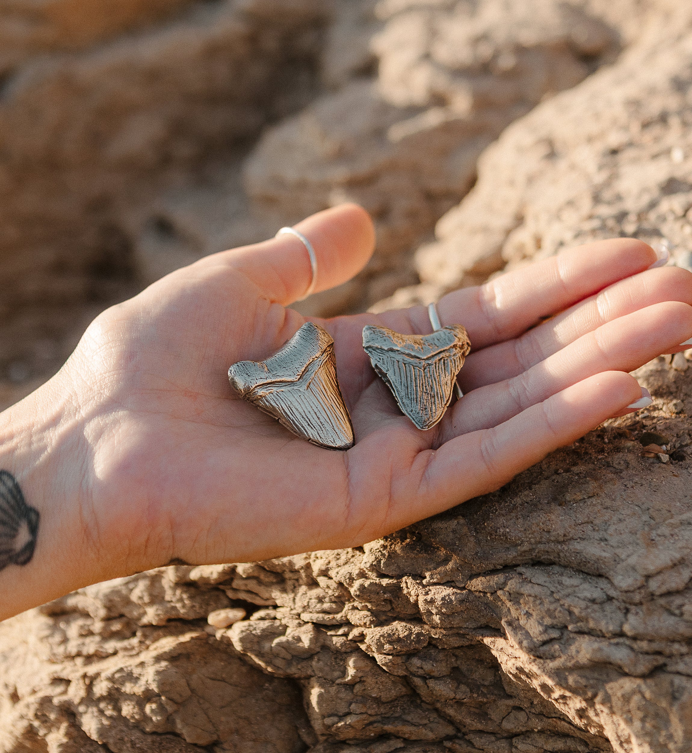 Megalodon Brass Ear Weights - Image 7