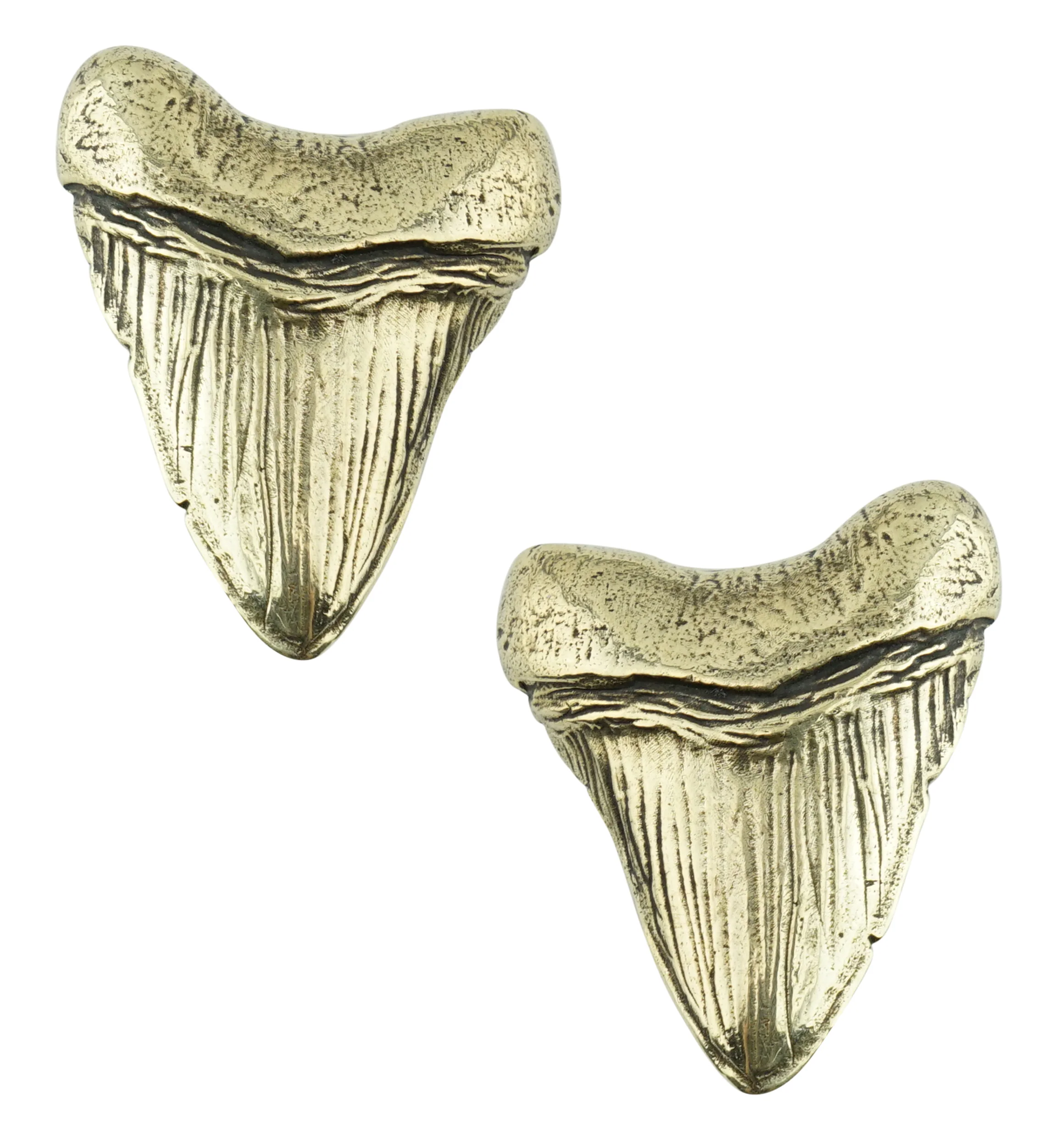 Megalodon Brass Ear Weights - Image 8