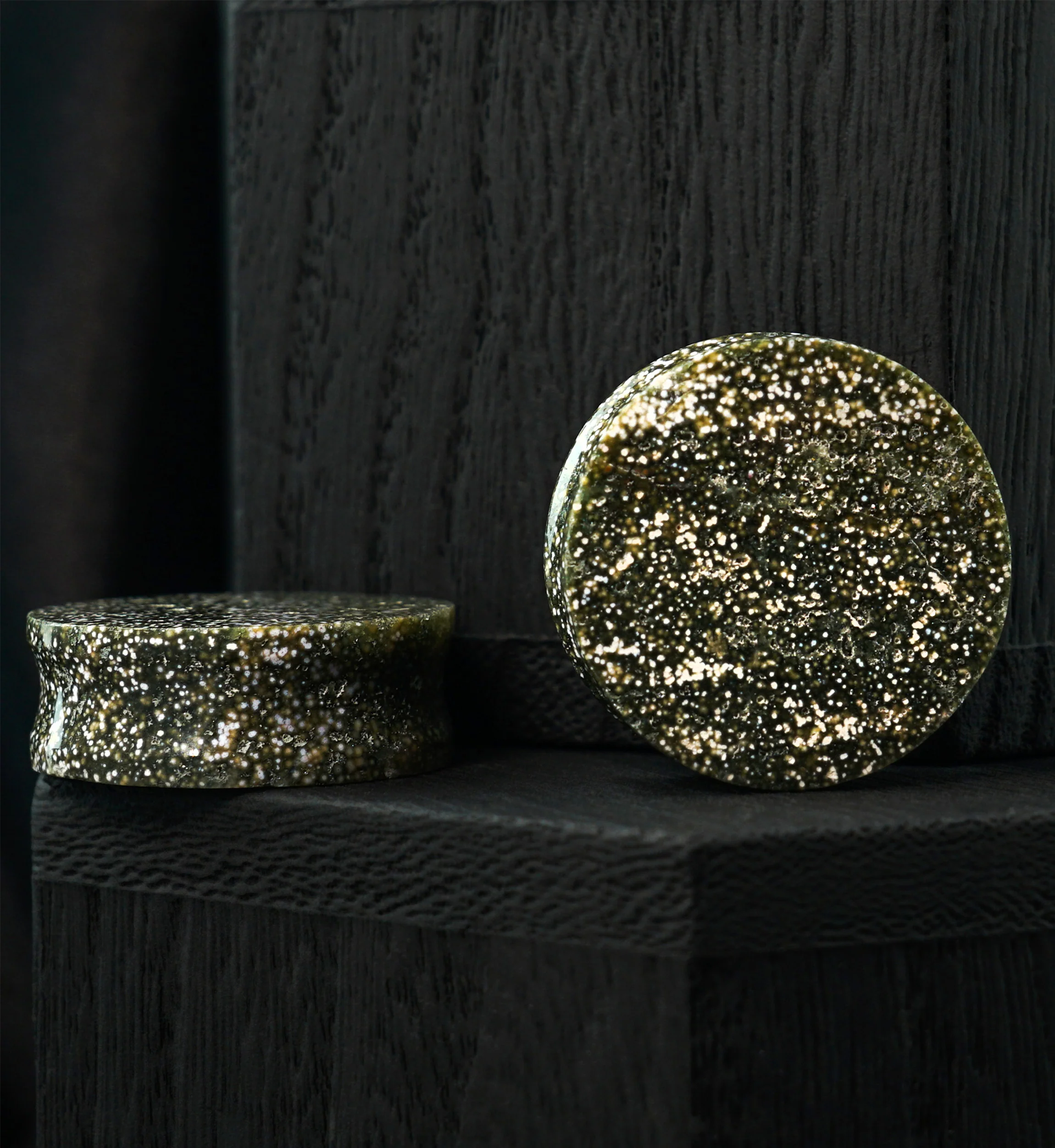 Ocean Jasper Stone Plugs 1" (25mm) Version 1