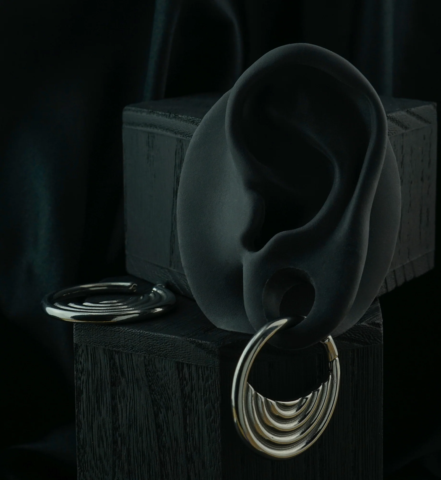 Radial Stainless Steel Hinged Ear Weights - Image 2