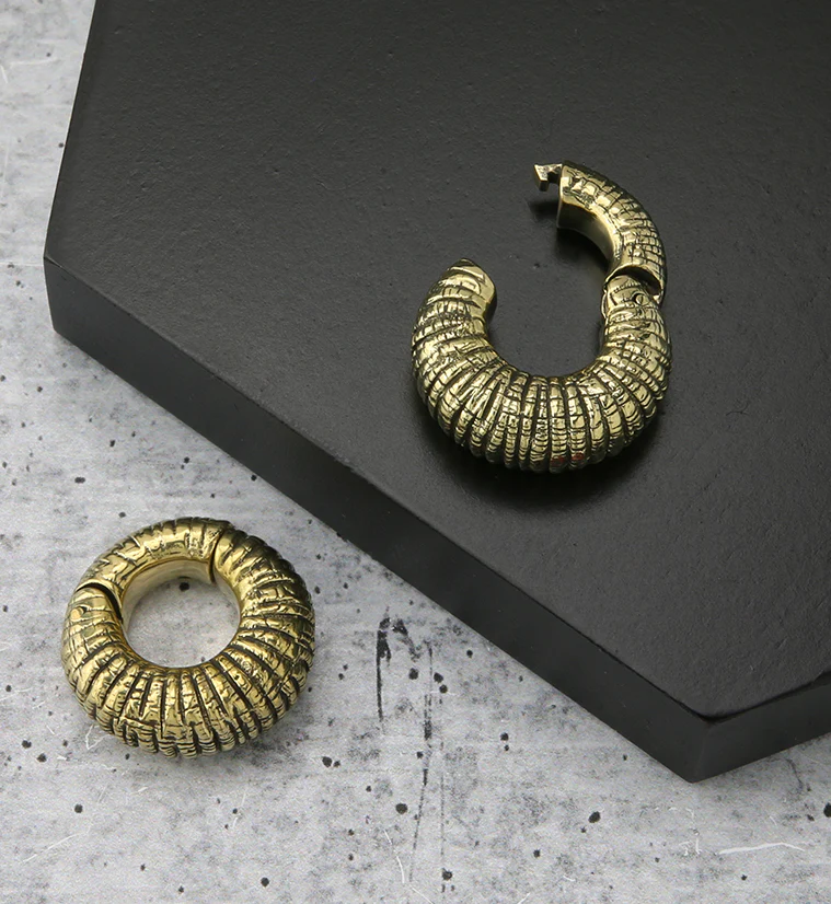 Rivel Brass Hinged Ear Weights - Image 2