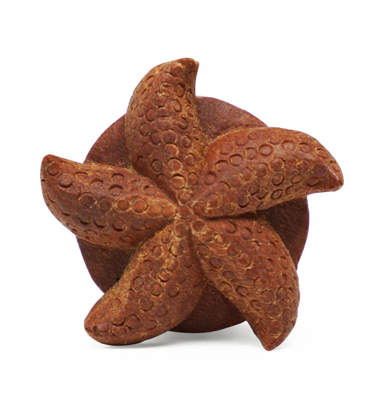 Starfish Saba Wood Plugs - Image 3